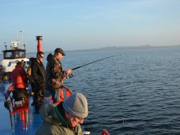 Competities HSV Alfheim